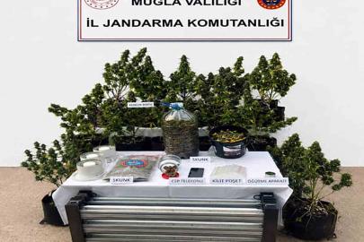 Jandarmadan uyuşturucuya geçit yok