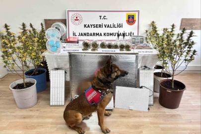 Kayseri’de uyuşturucu operasyonu