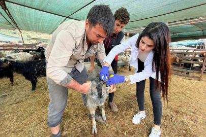 Kepez’de kurban satış ve kesim yerleri denetim altında