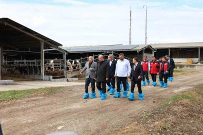 Kurban Bayramı öncesi hayvancılık işletmelerinde inceleme