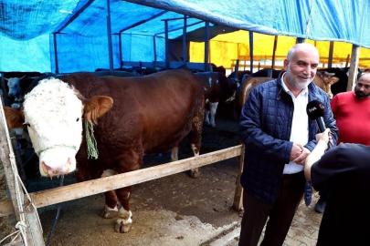 Kurban pazarının ’Paşa’sı 1,3 tonluk boğa