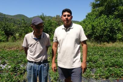 Marmaris’te baba oğulun çilek mesaisi