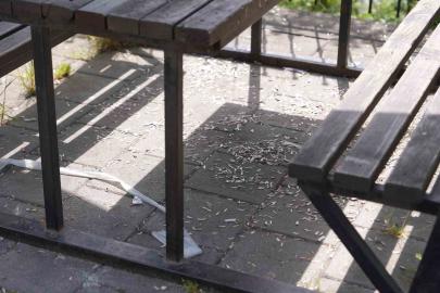 Melen Su Park’ta utandıran manzara