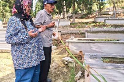 Mezarlıklarda duygu seli
