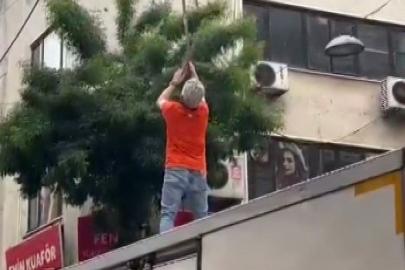 Pendik’te elektrik tellerine takılan martı kurtarıldı