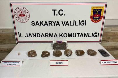 Sakarya’da 2 ilçede uyuşturucu operasyonu: 2 tutuklama