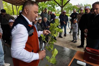 Samsun’da üreticilere "aşılama" sertifikası