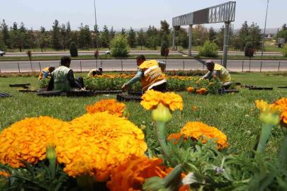 Şanlıurfa çiçeklerle donatıldı