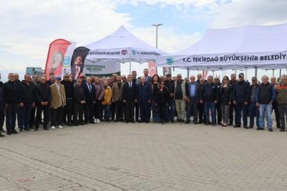 Sebze üreticilerine yarım milyon fide