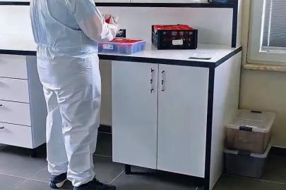 Sinop ormanlarında biyolojik mücadele güçleniyor