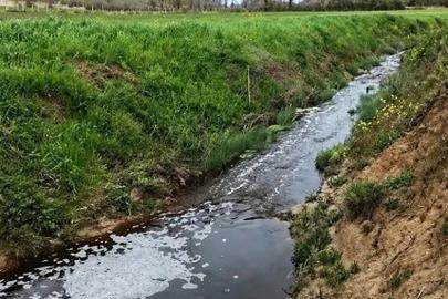 Sinop’ta çevreyi kirleten tesise 1.6 milyon TL ceza