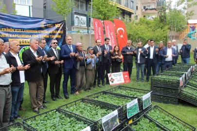Şırnak’ta 252 üreticiye sebze fidesi dağıtıldı