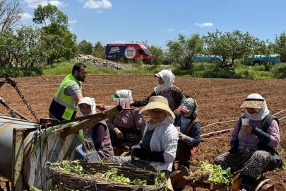 Tarım işçilerine serinleten ikram
