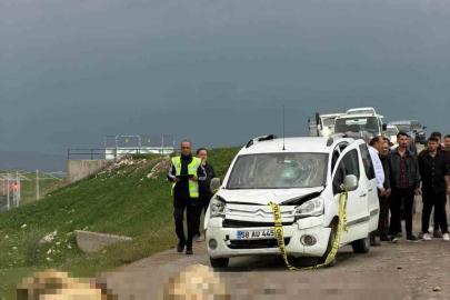 Ticari araç koyun sürüsüne daldı: Çoban öldü, 9 koyun telef oldu