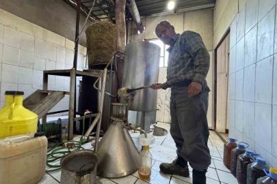 Toroslar’da yetişen 31 farklı bitkinin yağını çıkartıp ülkenin dört bir yanına gönderiyor