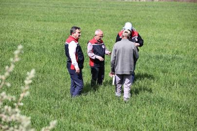 Yağışlar sonrası çiftçilere hububat tarlalarında hastalık riski uyarısı: "Hastalık çıkmadan önce alınan tedbirler verimi korur"