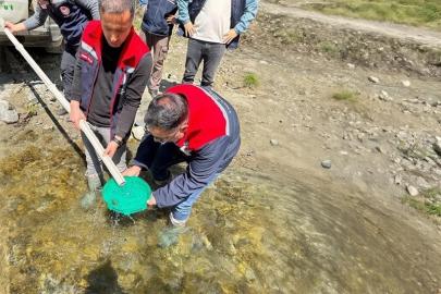 Yığılca’da derelere 50 bin kırmızı benekli alabalık yavrusu bırakıldı