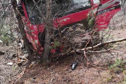 Yoldan çıkan vinç ormanlık alana daldı