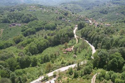 Zonguldak ormanları baharın gelişiyle dronla görüntülendi
