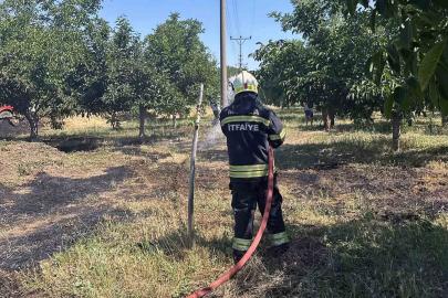 Arazi yangınları büyümeden söndürüldü