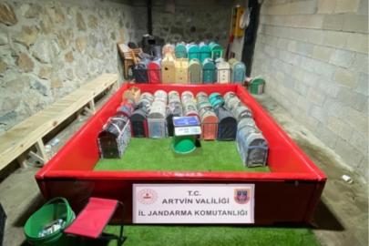 Artvin’de horoz dövüşüne jandarma baskını: 39 kişiye toplam 500 bin lira ceza