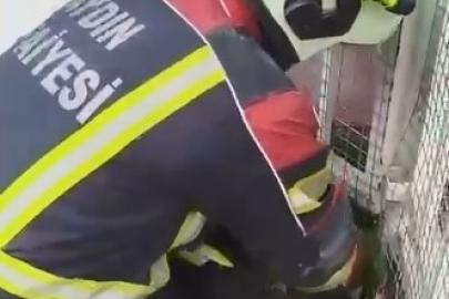 Aydın itfaiyesinden kirpi operasyonu