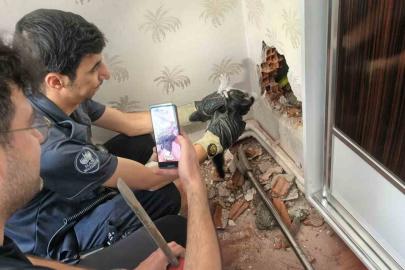 Baca boşluğunda mahsur kalan yavru kedi kurtarıldı