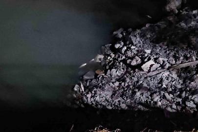 Bakırköy’de Çırpıcı Deresi’nde toplu balık ölümleri: AFAD inceleme başlattı