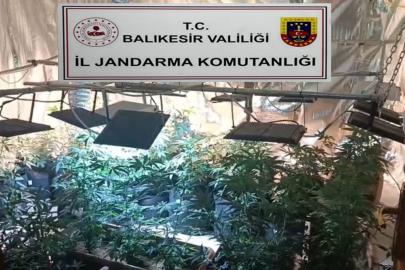 Balıkesir’de jandarmadan uyuşturucu serasına çevrilen evlere baskın: 12 gözaltı
