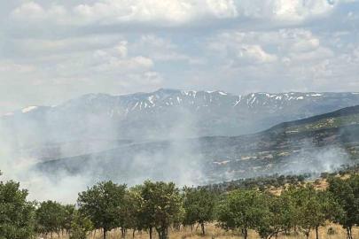 Bingöl’de çıkan orman yangını büyümeden kontrol altına alındı