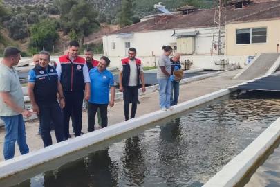 Bozdoğan’da su ürünleri üretimi 3 bin 696 tona ulaştı
