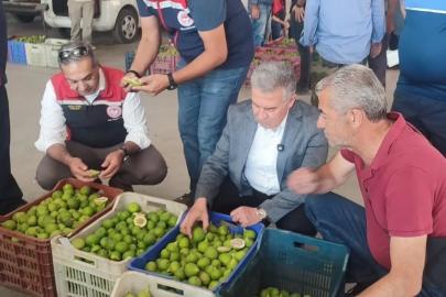 Buharkent’te ilekler, tezgahta incelendi