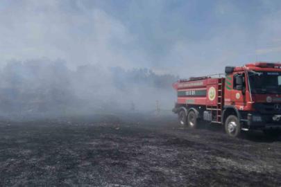 Burhaniye’de örtü yangını zeytinliklere sıçramadan kontrol altına alındı