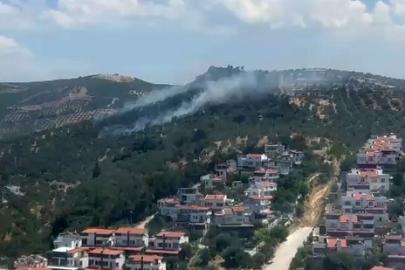 Burhaniye’deki zeytinlik yangını kontrol altına alındı