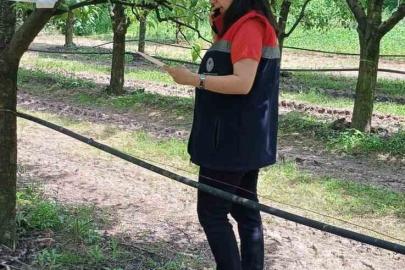 Çarşamba’da fındık üreticilerine ’kokarca’ ve ’külleme’ uyarısı