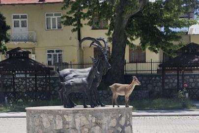 Çemişgezek’te tebessüm ettiren an: Gerçeği ve heykeli aynı karede