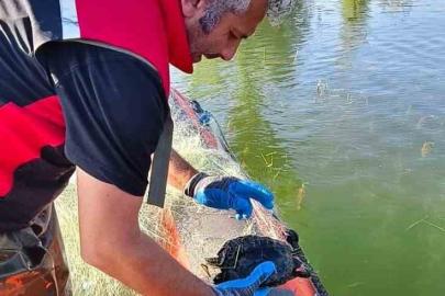 Çorum Barajı’nda 2 bin 800 metre ağ ele geçirildi