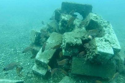 Denize düşen beton ağırlıklardan yapay resif oluşturdular