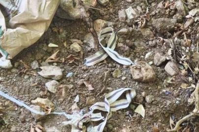 Devriye gezen jandarma son anda fark etti, bir hayat kurtuldu