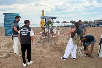 Didim Belediyesi ekiplerinin zamanında müdahalesi caretta carettayı kurtardı