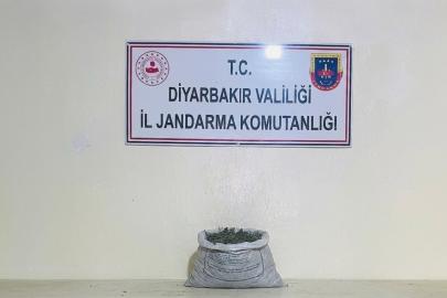 Diyarbakır’da 19 kilo 800 gram esrar ele geçirildi
