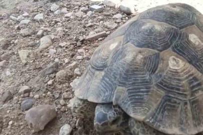 Edirne’de Çevre Haftası’nda gülümseten görüntü