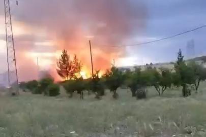 Elektrik direğinden çıktığı iddia edilen yangın buğday tarlasını küle çevirdi