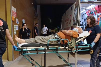 Erik toplamak için çıktığı ağaçtan düşerek yaralandı