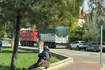 Erol’dan mahalle aralarına park eden tır ve kamyon sürücülerine önemli uyarı: