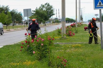 Erzincan’da yeşil alanlarda bakım çalışmaları sürüyor