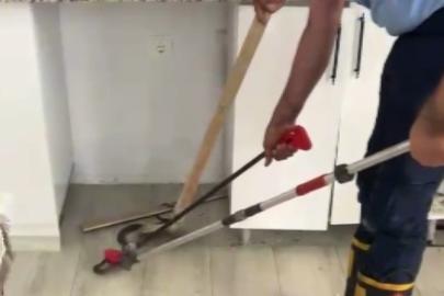 Eve giren yılanı itfaiye ekipleri çıkardı