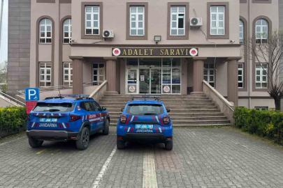 Eve kurduğu sistemle kenevir yetiştiren 2 şüpheli yakalandı