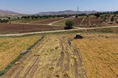 Gercüş’te bereketli hasat: Mercimek rekoltesi çiftçinin yüzünü güldürdü