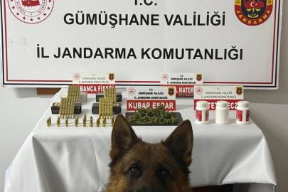 Gümüşhane’de uyuşturucu operasyonu